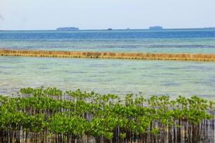 Blusukan ke Kepulauan Seribu, Djarot Geram Banyak Pemborosan