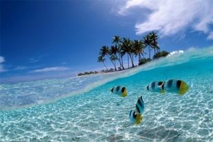 Menristek Bidik Kepulauan Seribu, Djarot: Perlu Pulau Khusus