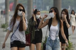 Kebakaran Hutan Sumatera Picu Kenaikan Polusi Udara Singapura