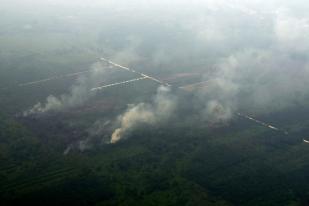 Polusi Asap Kebakaran di Riau Kian Parah