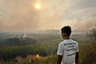 Greenpeace Apresiasi Pengesahan UU Pencemaran Lintas Batas