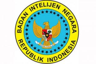 BIN Prediksi Pelantikan Jokowi Lancar 