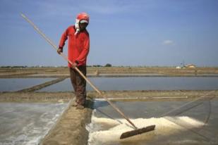 Jokowi Lanjutkan Program Revitalisasi Tambak Garam 
