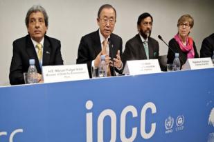 PBB: Penanggulangan Perubahan Iklim Terjangkau