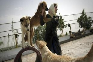 Pemilik Anjing di Iran Bisa Terancam Hukuman Cambuk