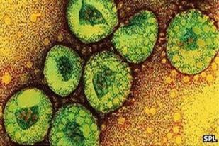 Virus Mirip SARS Kembali Meminta Korban