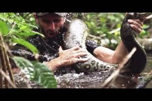 Soroti Kerusakan Hutan, Naturalis AS Rela Dimakan Anaconda