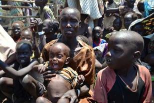 Sudan Selatan Terancam Kelaparan Akibat Konflik