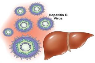 WHO: Cegah Hepatitis, Karena Biaya Pengobatanya Tinggi