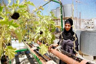 Penduduk Gaza Kembangkan Kebun Sayur di Atap Rumah