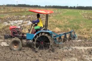 Kelompok Tani Terima Bantuan Traktor dari Kementan