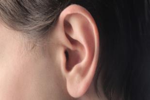 Dua Telinga: Tak Sekadar Alat Keindahan