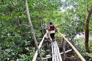 Menyeberangi Titian Bambu