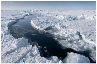 Perubahan Iklim Kutub Utara Ciptakan "Zaman Baru"