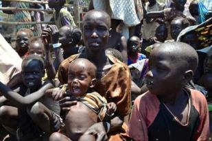 PBB: 250 Ribu Anak Kelaparan di Sudan Selatan