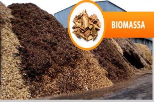LIPI: Potensi Biomassa Masih Dimanfaatkan 5 Persen