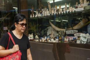 Maraknya Perdagangan Gading di Hong Kong, Ancam Populasi Gajah