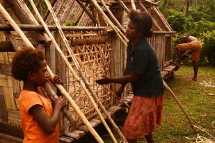  Pasca Badai Pam, Vanuatu Hadapi Ancaman Kelaparan
