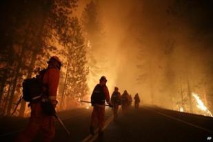 Taman Nasional Yosmite California Terbakar, 5.000 Rumah Terancam 