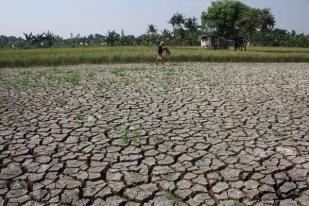 BMKG: El Nino Menguat Dalam Dua Bulan