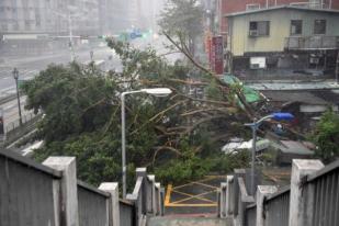 Taiwan Lumpuh Dilanda Topan Soudelor