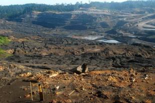 BMKG: Indonesia Bukan Penghasil Emisi Terbesar