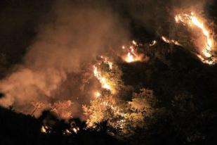 Hutan Lereng Gunung Slamet Kembali Terbakar