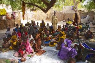 Pengungsi Korban Boko Haram Dilanda Wabah Kolera, 16 Tewas