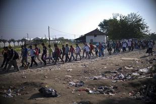 Hungaria Tutup, 4.000-an Pengungsi Timteng Lewat Kroasia