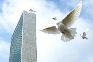 Hari Perdamaian, PBB: Gencatan Senjata di Seluruh Dunia