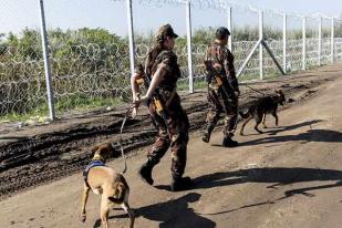HRW Kecam Aturan Baru Perbatasan Hungaria