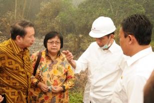 Presiden Jokowi Minta Kanalisasi Atasi Kebakaran Hutan