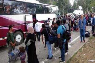 Jerman Duga 30 Persen Migran Bukan Orang Suriah