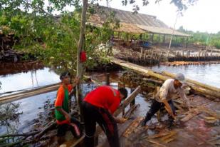 Walhi: Solusi Karhutla Sekat Kanal Bukan Kanalisasi