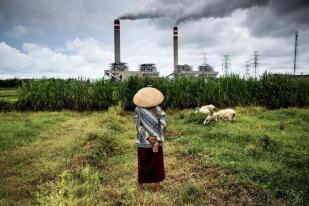 Greenpeace: Batubara Bersih Adalah Mitos