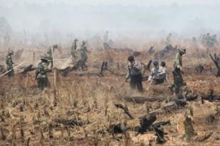 “15.600 Hektare Lahan Terbakar Sudah Dipadamkan”