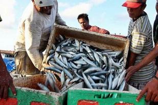 Kiara: Dahulukan RUU Nelayan Dibanding Revisi KPK