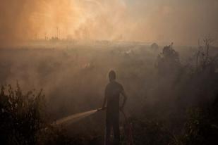 Asing Bantu Padamkan Kebakaran di Sumatera dan Kalimantan