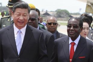 Xi Jinping Janji Bantu Zimbabwe dari Ancaman Perdagangan Satwa Liar