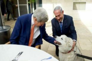 PM Israel Sedih Anjingnya Dikarantina