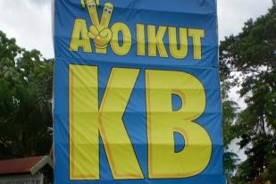 Kampung KB, Bangkitkan Program KB