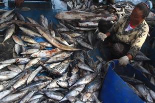 Indonesia Harus Perkuat Pengembangan Benih Perikanan