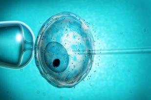 Rekayasa Genetik Embrio Manusia Diizinkan 