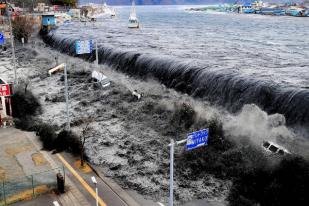 BMKG: Ada Empat Tanda Bakal Muncul Tsunami