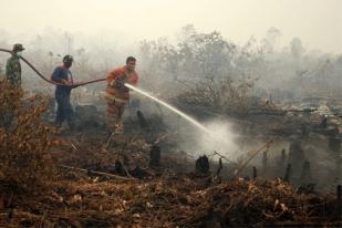 Sumatera Kembali Hadapi Ancaman Kebakaran Lahan