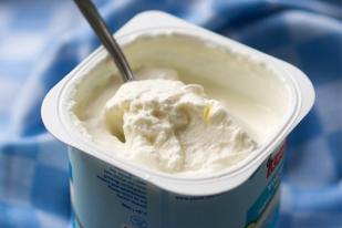 Produsen Yoghurt AS Berminat Tanam Modal di Indonesia