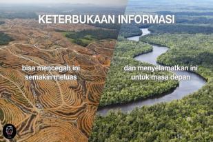 Peta Interaktif Greenpeace Informasi Pemilik Lahan Deforestasi