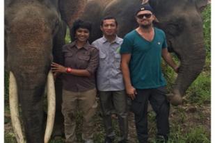 Leonardo DiCaprio Kunjungi Hutan Indonesia