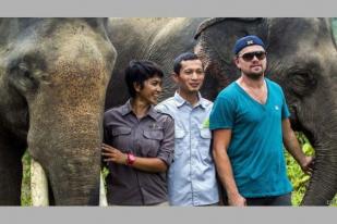 Leonardo DiCaprio Dukung Penyelamatan Leuser Aceh