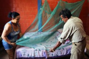 Wujudkan Dunia yang Bebas Malaria